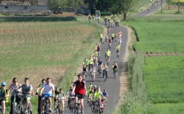 VII Wyprawa pieszo-rowerowa "Na rowerze i na pieszo borowiackie szlaki cieszą" - 27.05.2017 r.