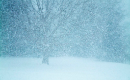 Meteorolodzy zapowiadają opady śniegu i porywisty wiatr