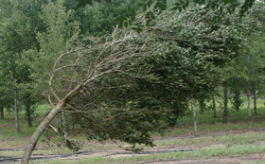 Będzie silnie wiało – wydano ostrzeżenie meteorologiczne