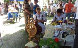 Zapraszamy twórców ludowych na Dzień Folkloru Borowiackiego